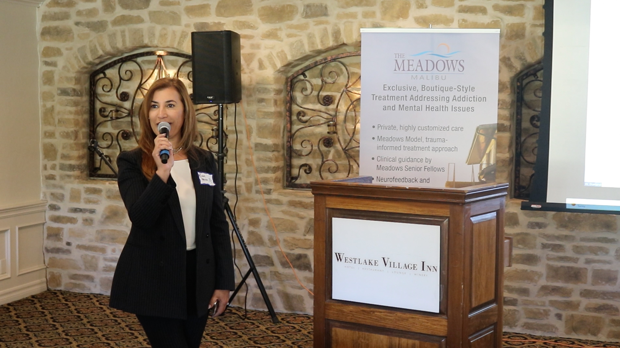 PCI Centers & the Meadows Malibu