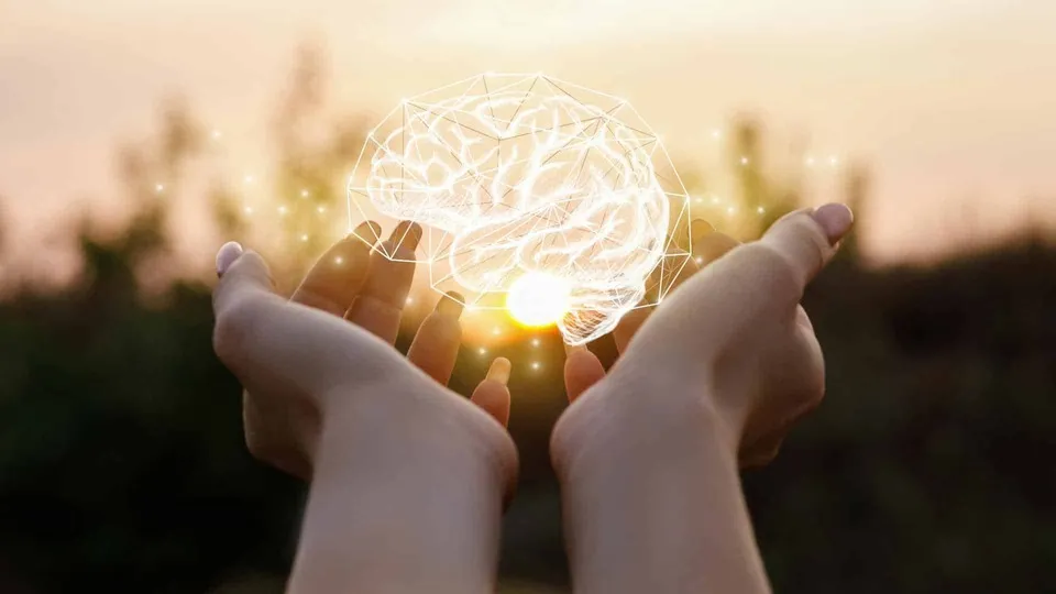 memory improves cognitive function and mental health