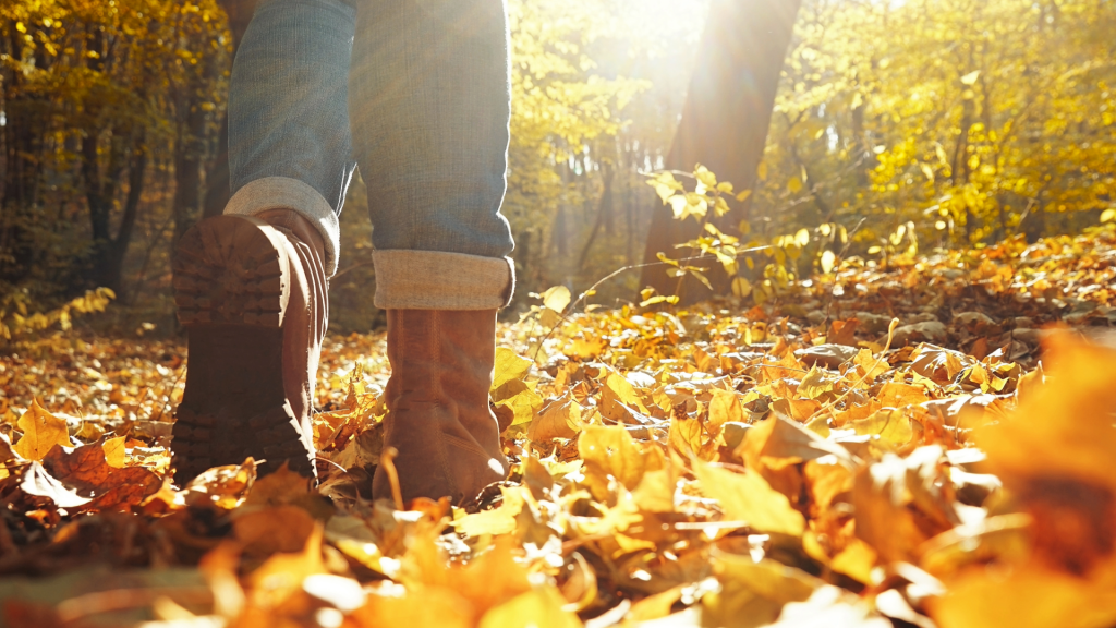 Fall Reflections: Reconnecting with Your Mental Wellness Goals in Westlake Village and Thousand Oaks