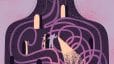 how mitochondria affects your mental health