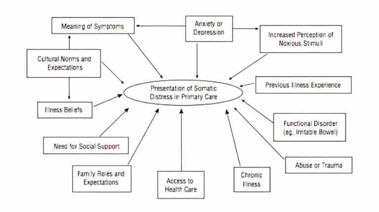 Biopsychosocial model of somatic stress, diagram from Epstein, Quill, and McWhinney (1999)